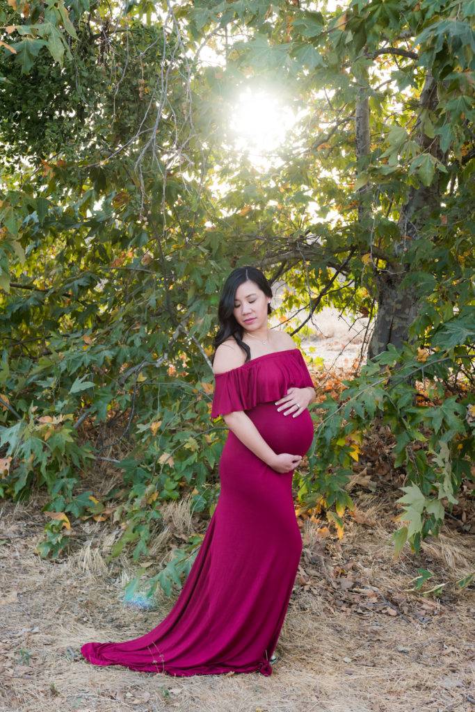 Maternity Gown photo OC Belly photography