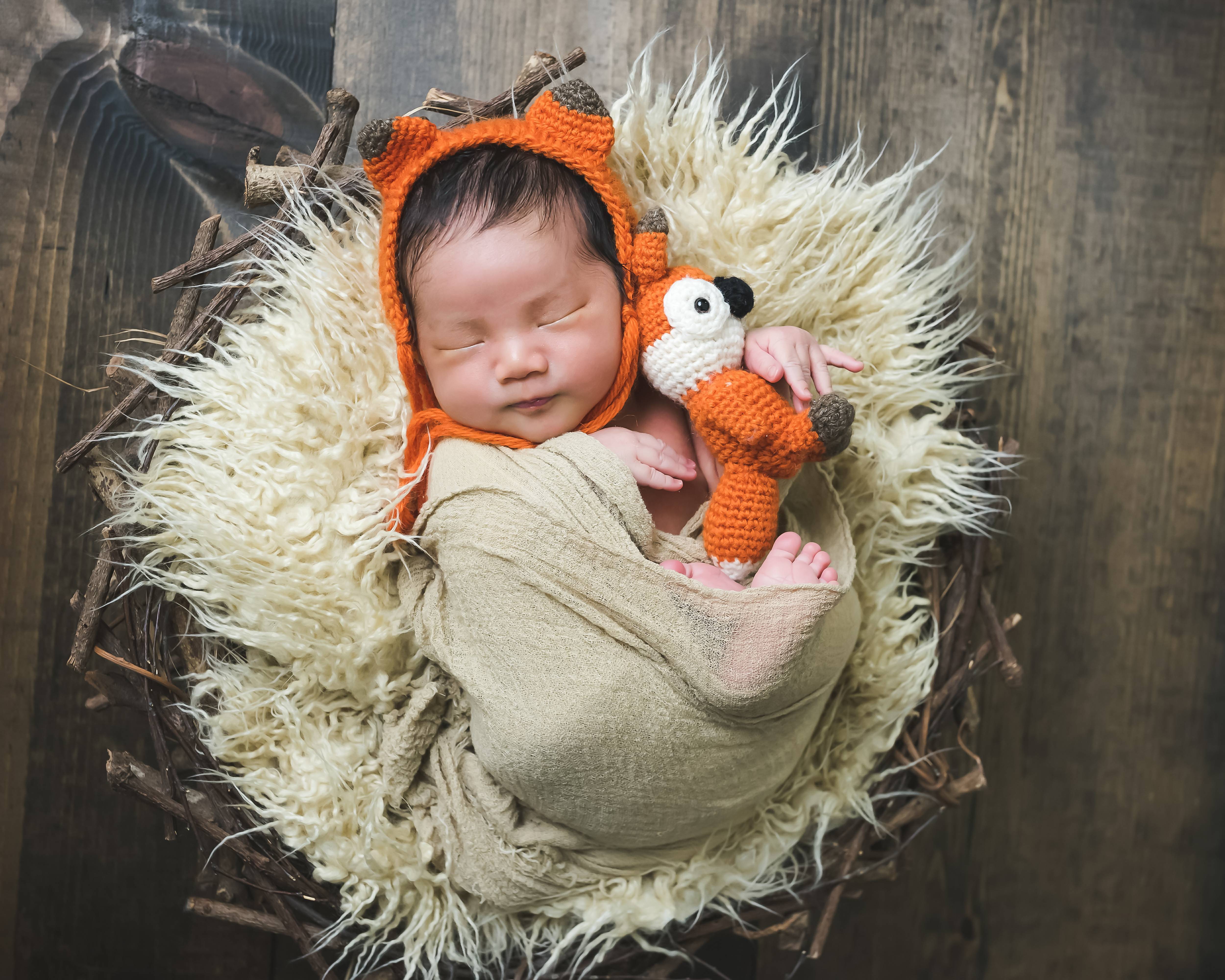 Photography session of newborn dressed as fox