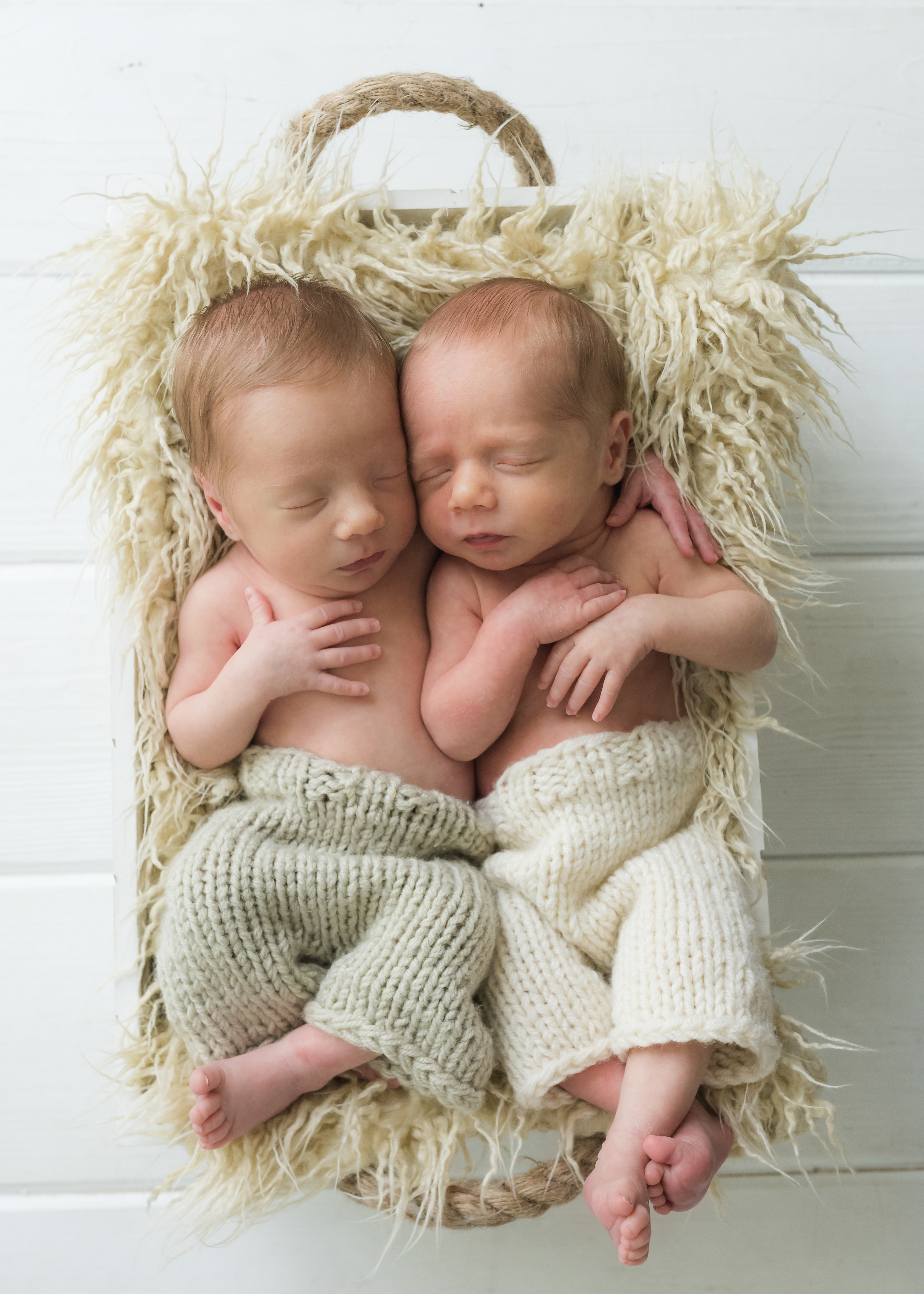 Newborn baby twins in studio photography session Orange County maternity and newborns Laura + Brad Photo
